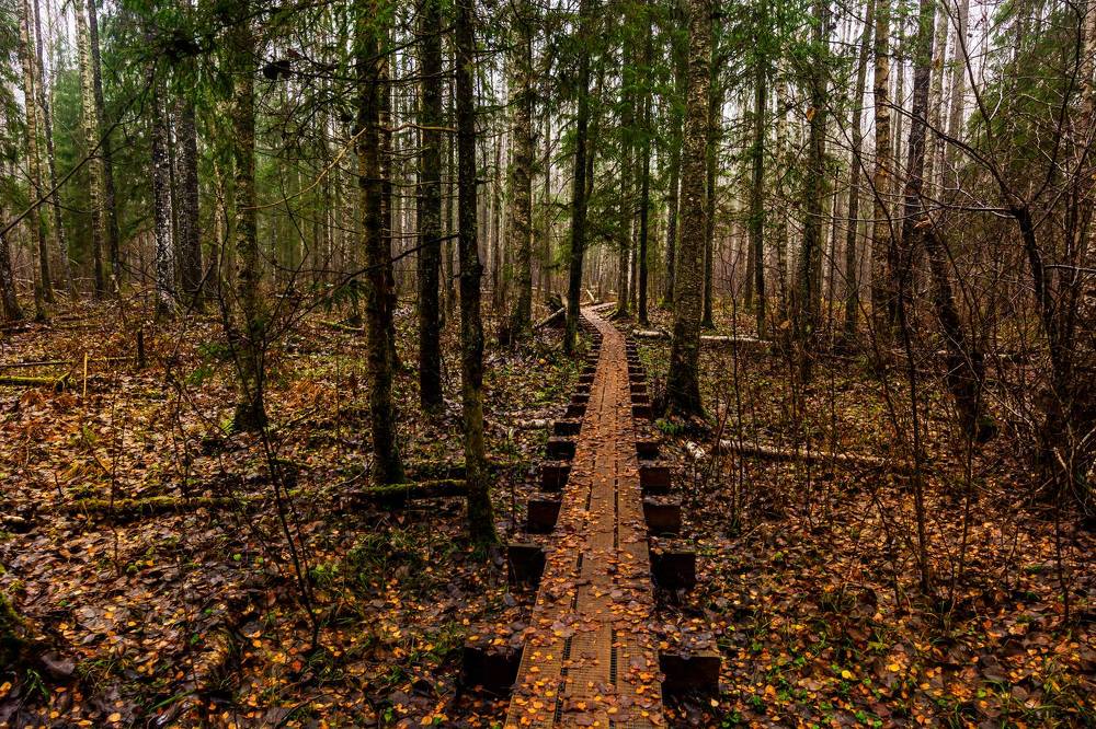 Photograph by Nikolai Barchan