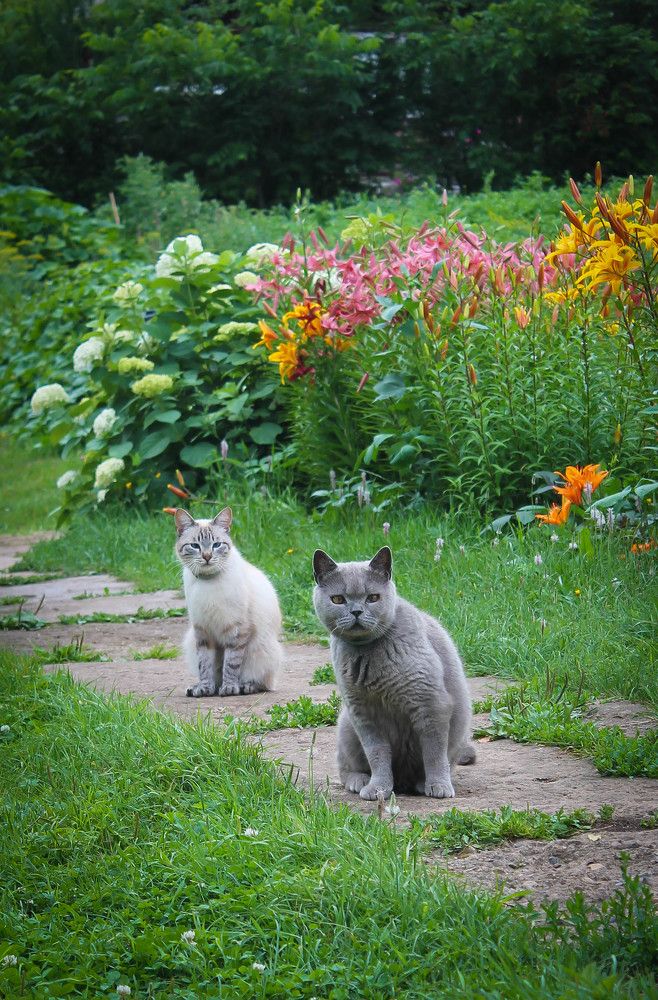 Photograph by Любовь Иванова