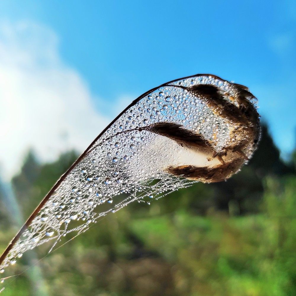 Photograph by Светлана Башаева