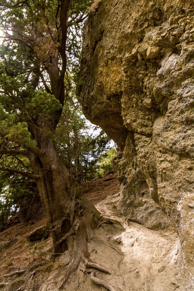 Photograph by Nikolai Barchan