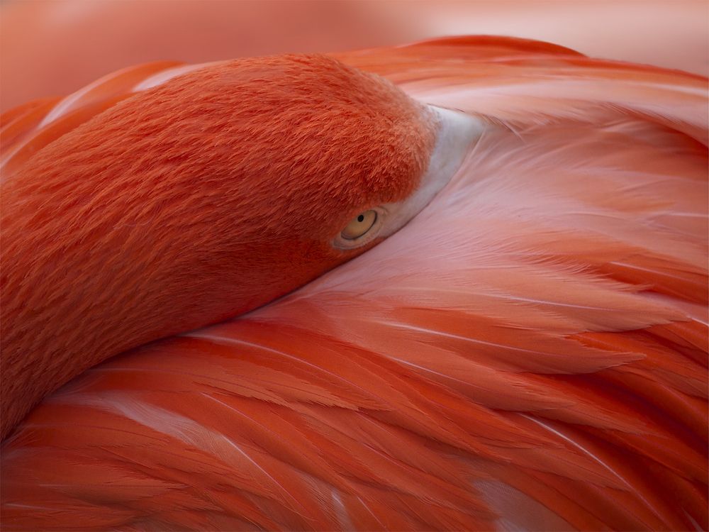 Photograph by Миронова Мила