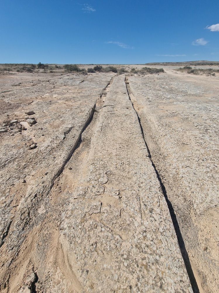 Photograph by Инна Федорова