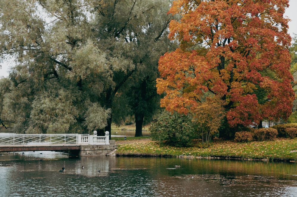 Photograph by Сафронова Любовь