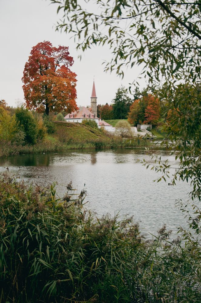 Photograph by Сафронова Любовь