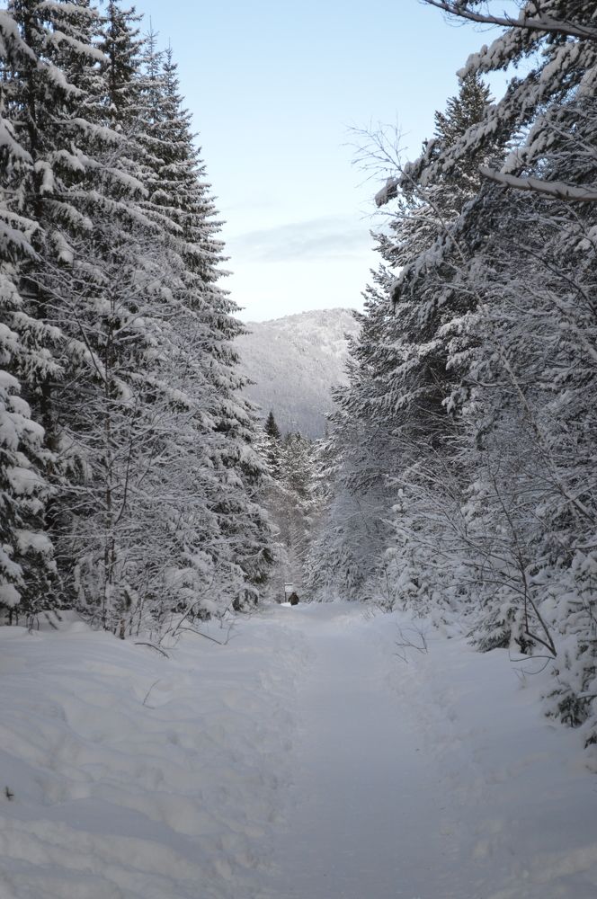 Photograph by Дарья Ростовцева