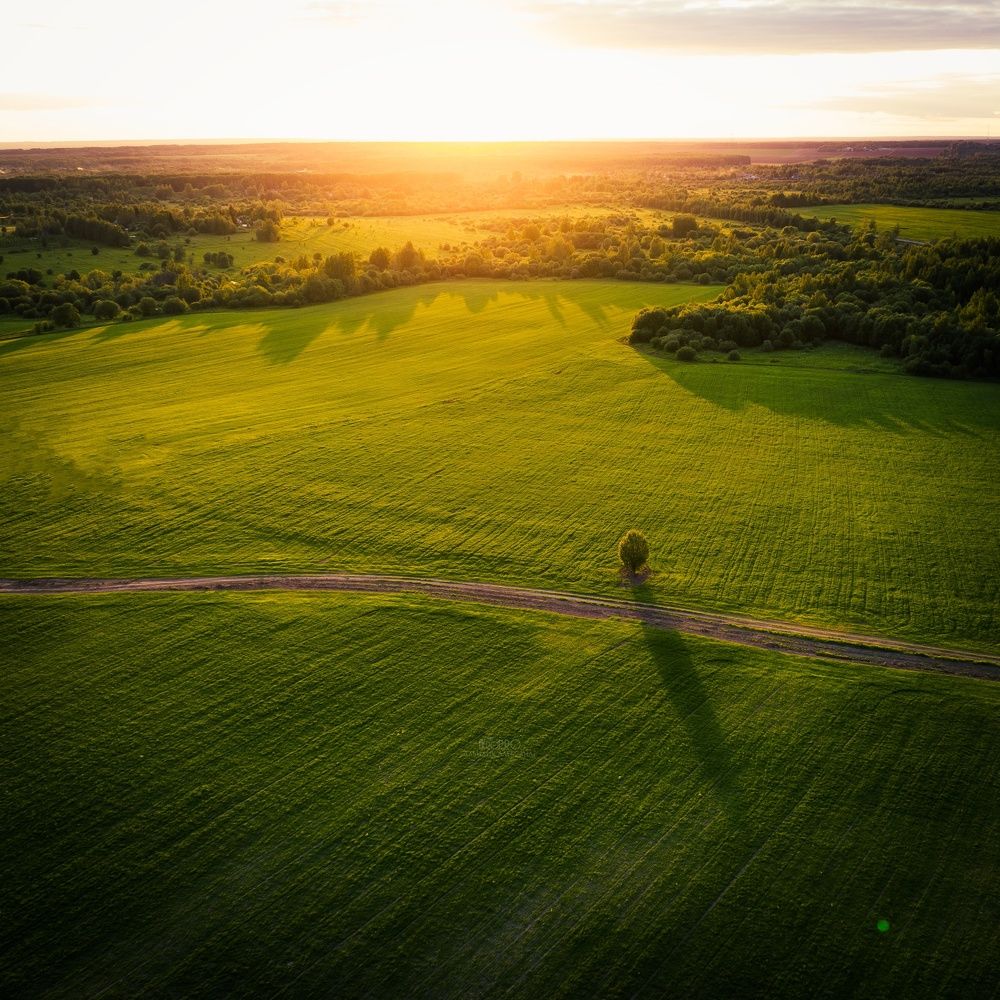 Photograph by Александр Давидик
