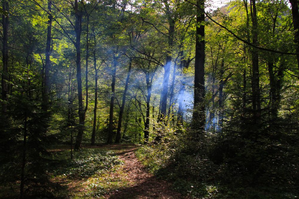 Фотография автора Татьяна Сергиенко