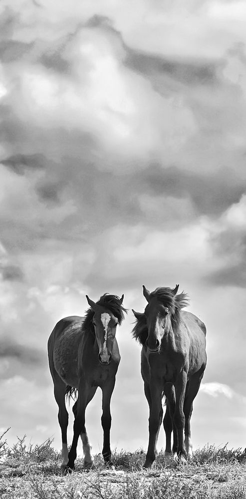 Фотография автора Инна Федорова