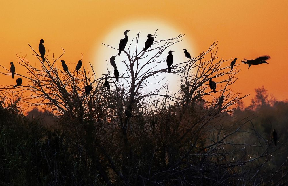 Photograph by Вадим Городницкий