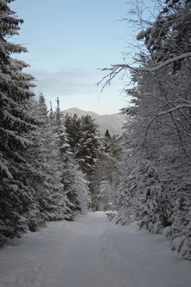 Photograph by Дарья Ростовцева