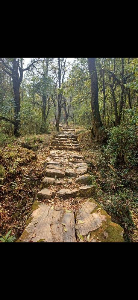 Photograph by Nilendra Thapa