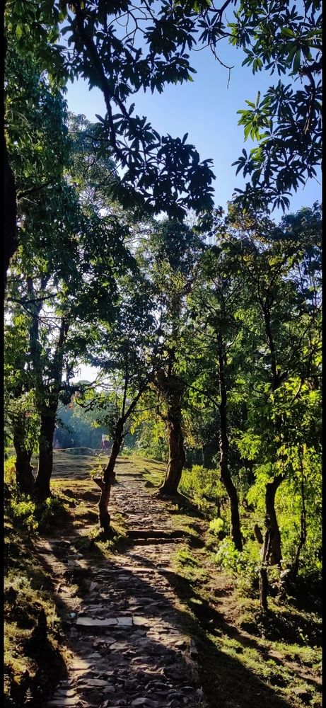 Photograph by Nilendra Thapa