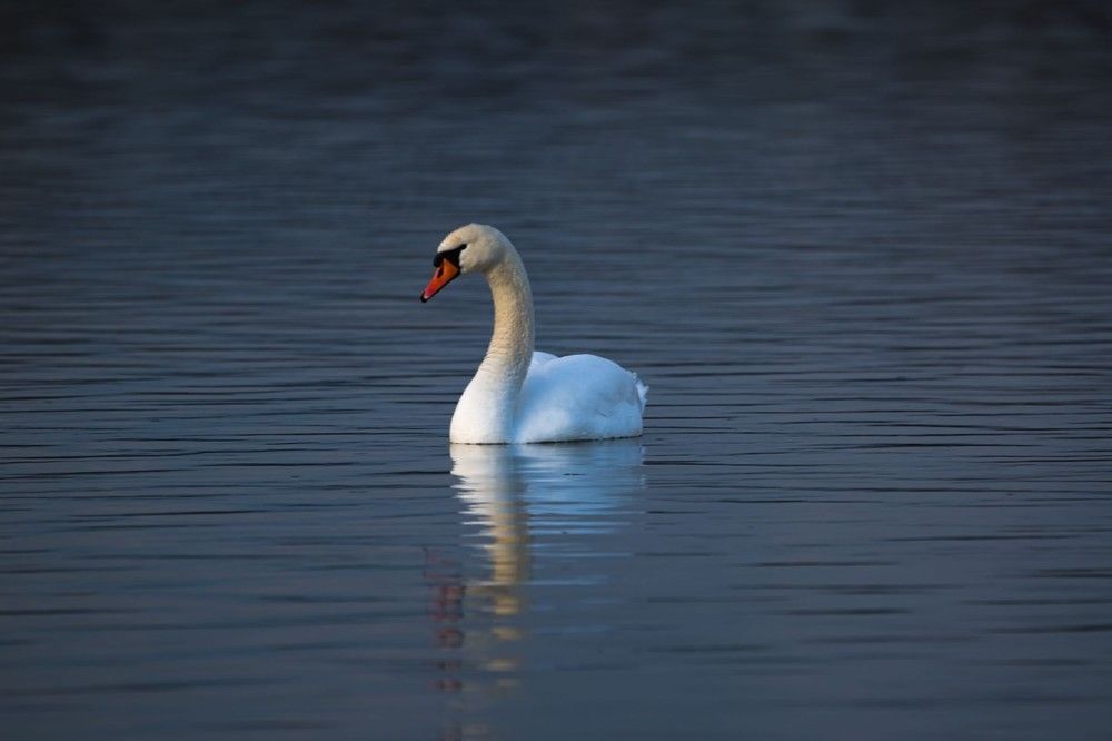 Photograph by Kateřina