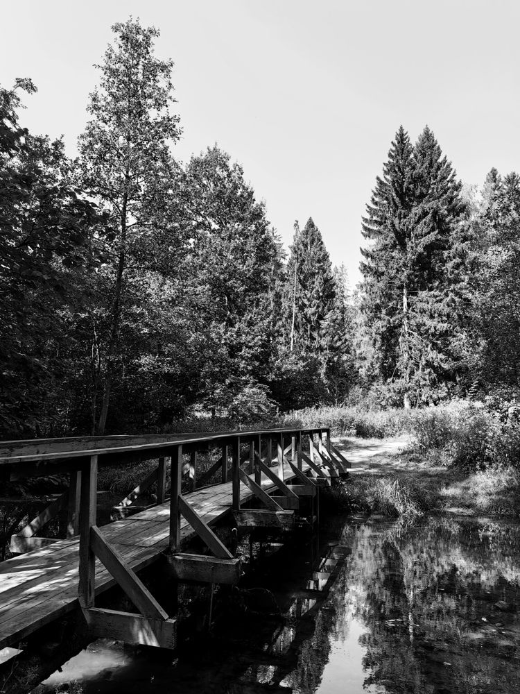 Photograph by Anastasiya