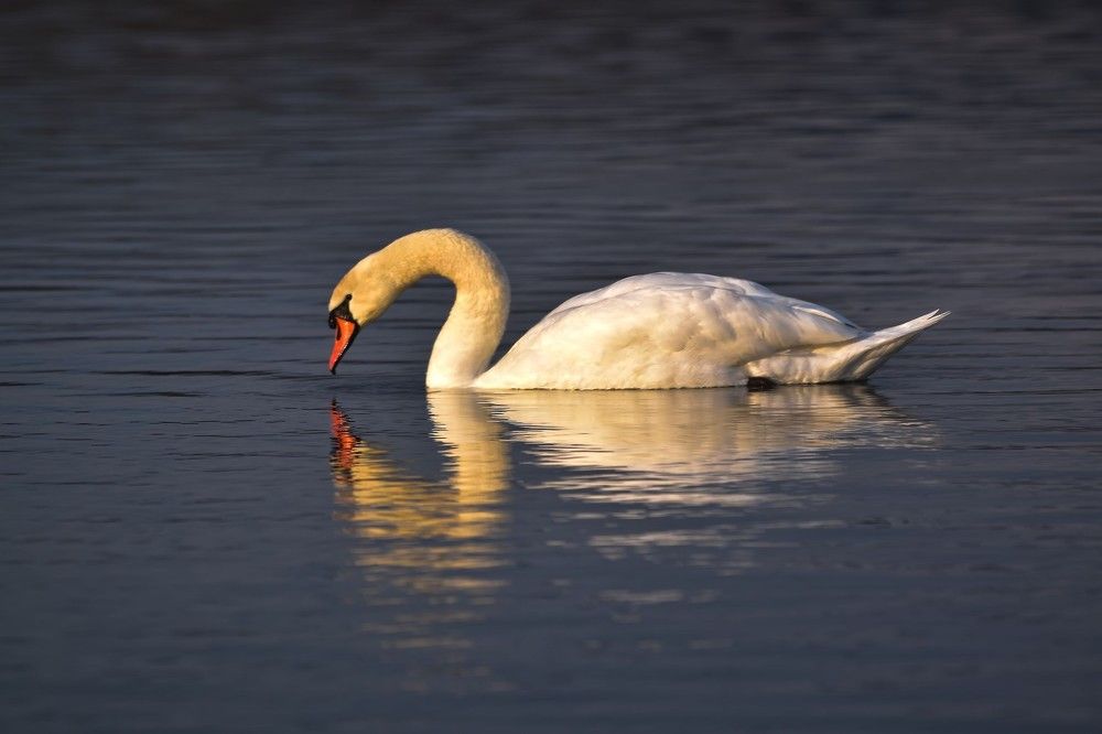 Photograph by Kateřina