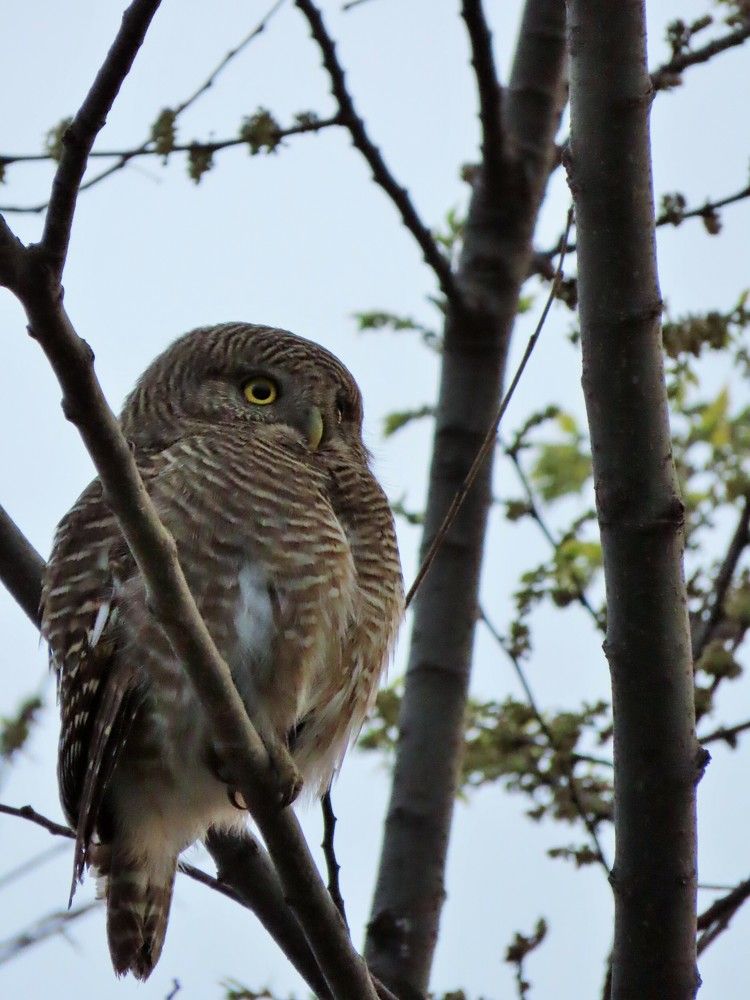 Photograph by Светлана Башаева