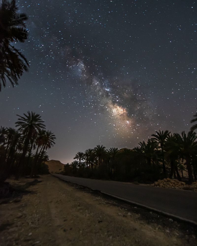 Photograph by Ali Alirezaei