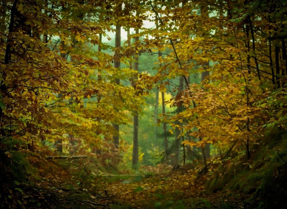 Photograph by Kateřina