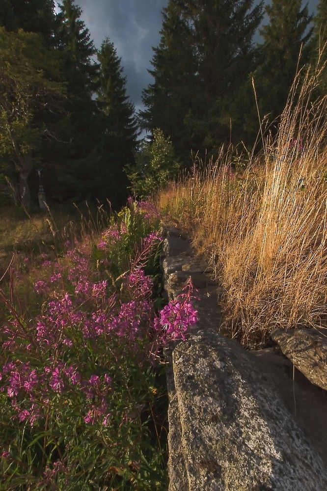 Photograph by Kateřina