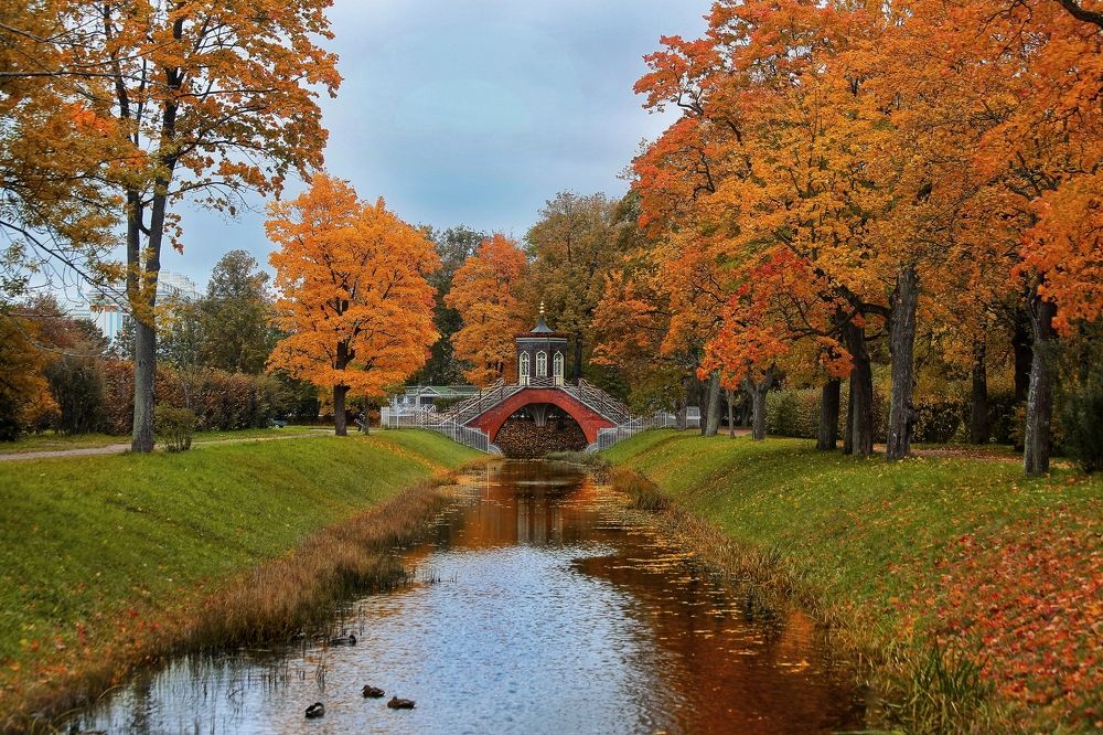 Photograph by Татьяна Бравая