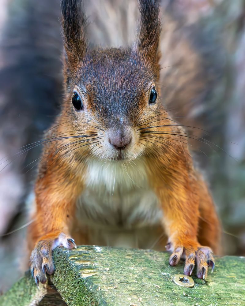 Photograph by Viktor Makarov