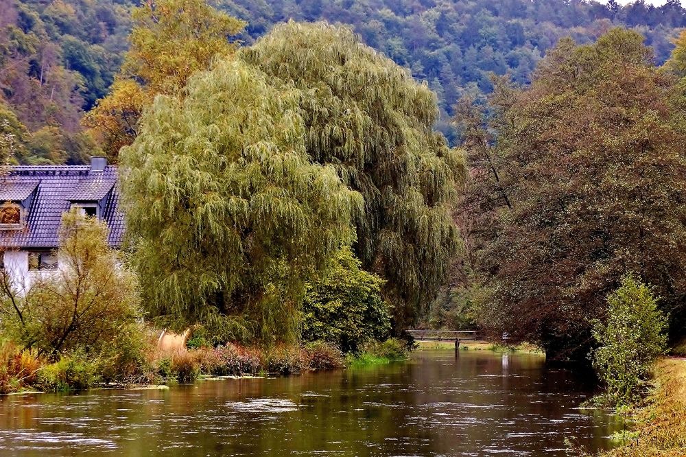 Photograph by backareva irina