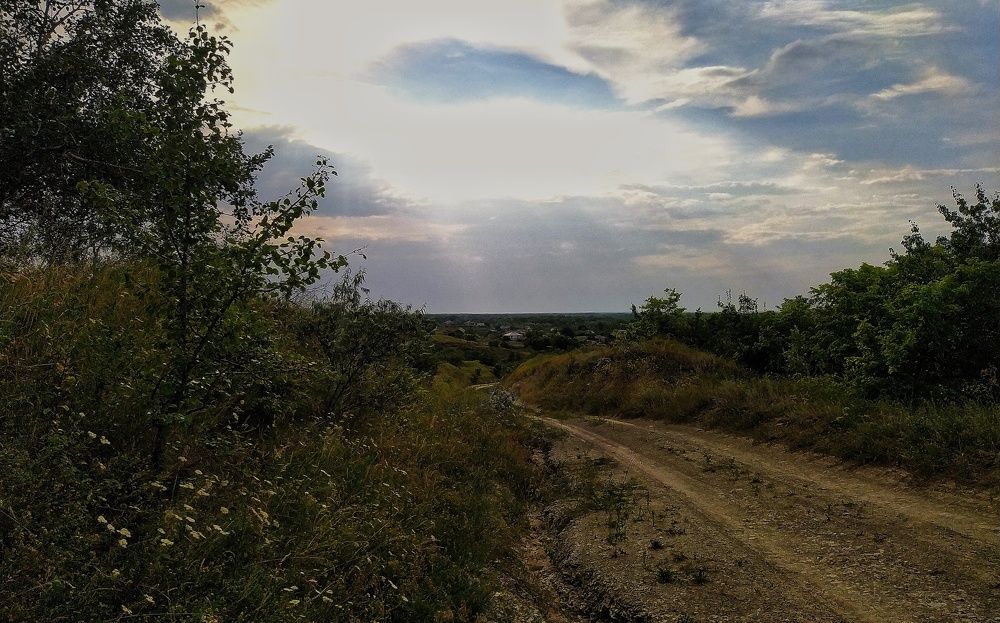 Photograph by Надежда Виденина