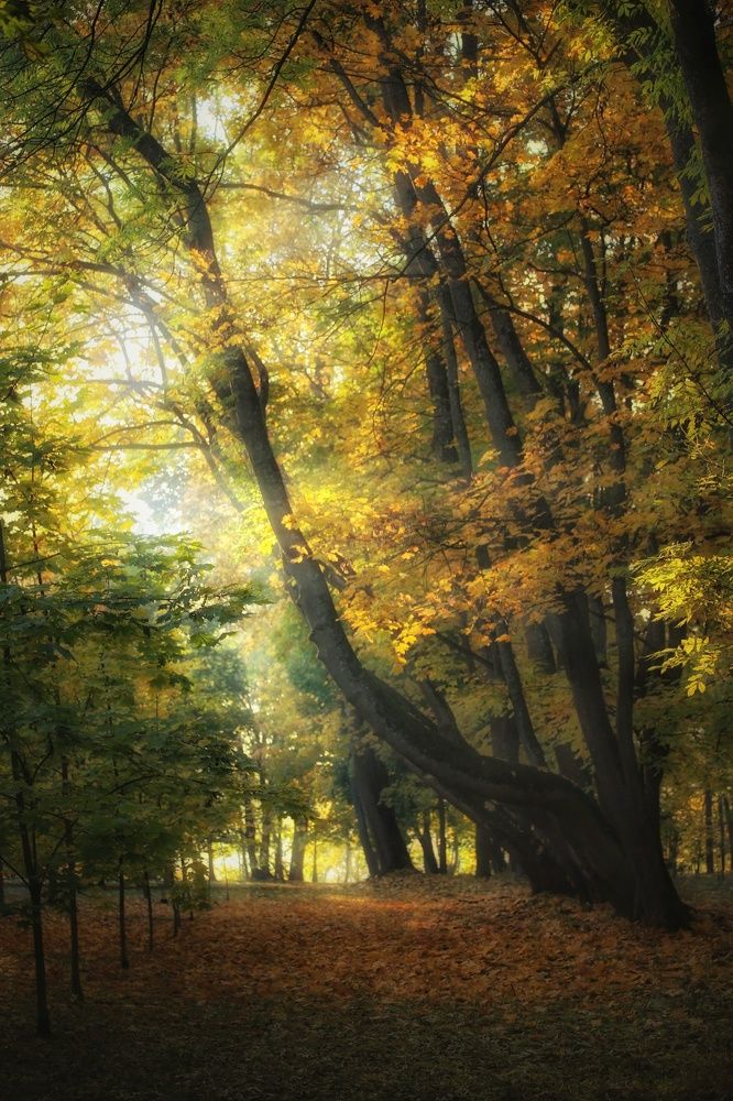 Photograph by Leanid Kulpo