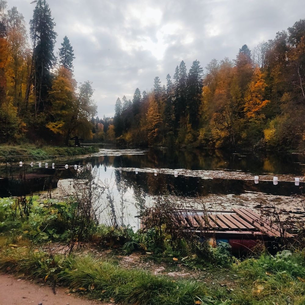Photograph by Елена