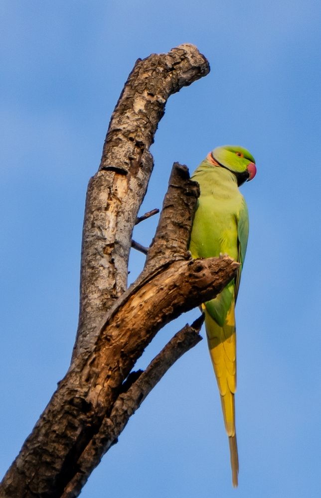 Photograph by Oxana Ukhlina