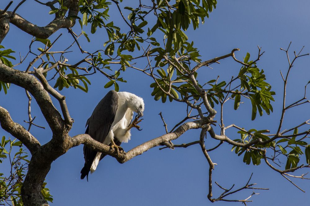Photograph by Chamara Sulakkhana Polwatta Siriyalage