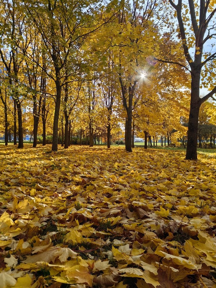 Photograph by Maiya Bulatova