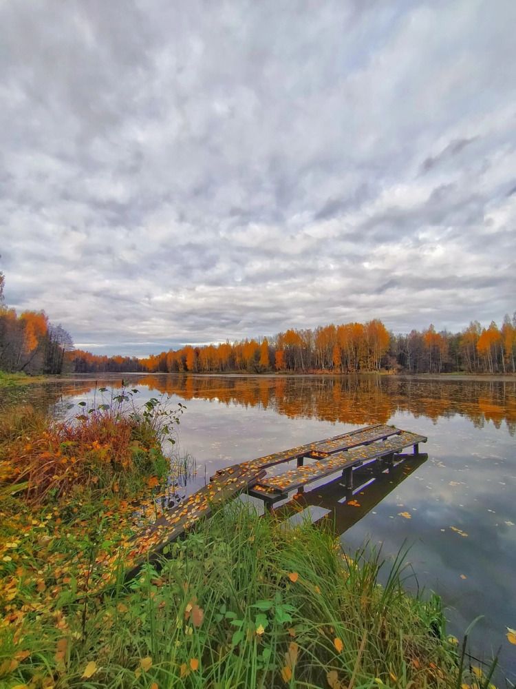 Photograph by Мария Воронцова