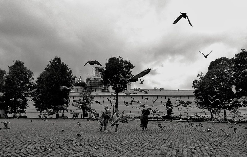 Photograph by Надежда Виденина