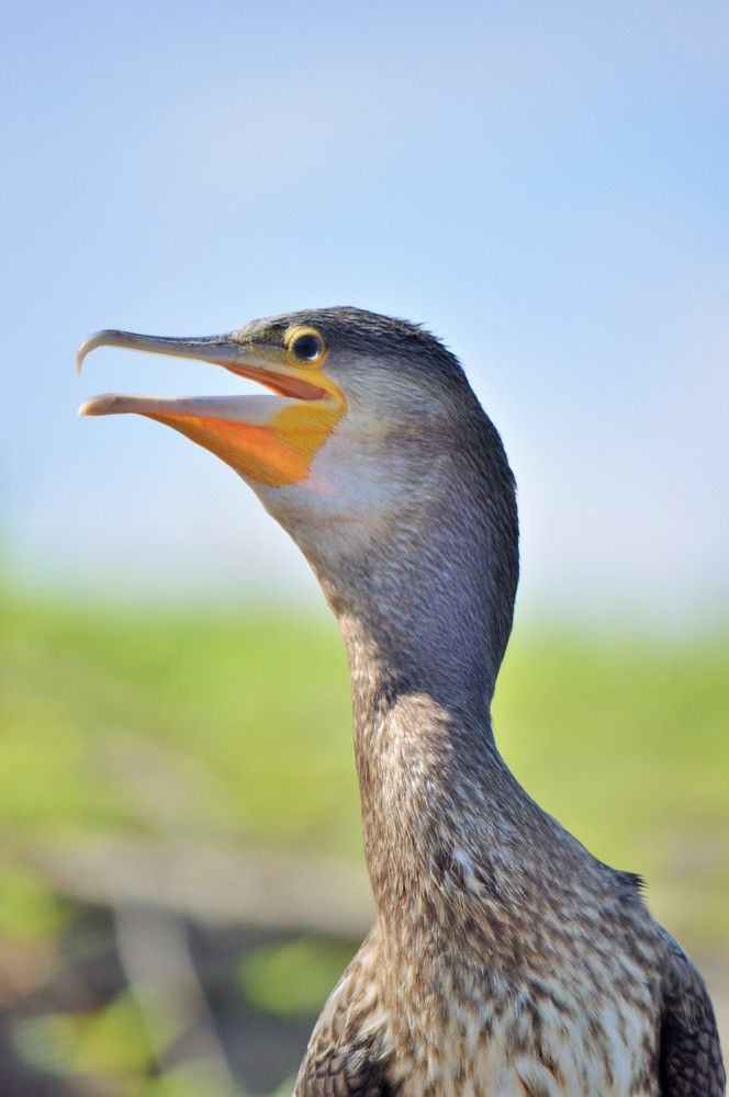 Photograph by Наталия Захарова