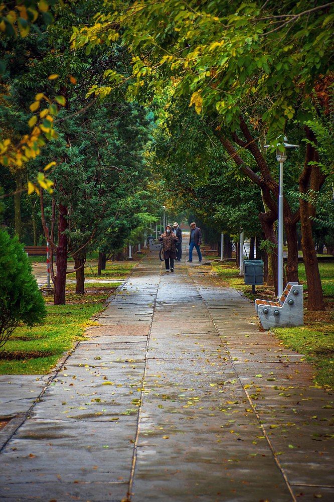 Photograph by Ali Alirezaei