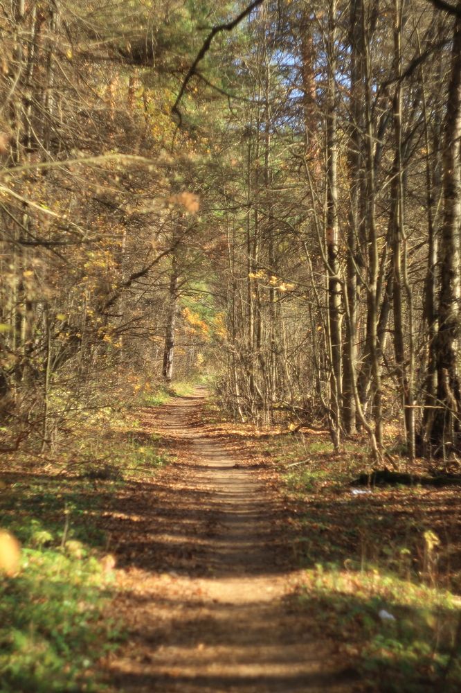 Photograph by Антон Иванов