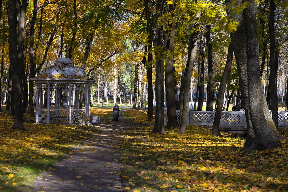 Photograph by Надежда Пухова