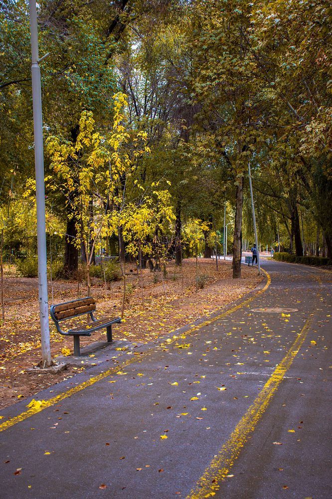 جاده و صندلی