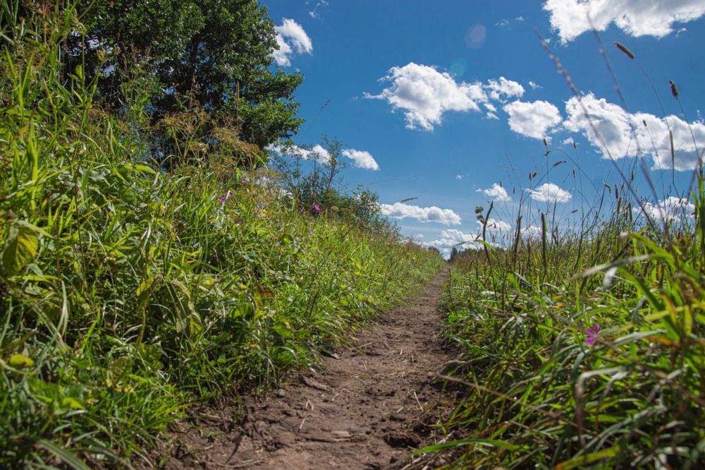 Photograph by Анна Васильева