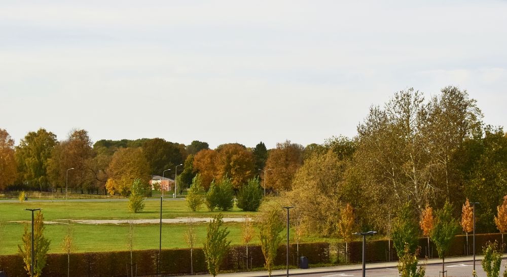 Photograph by Aleksandra Bistrova