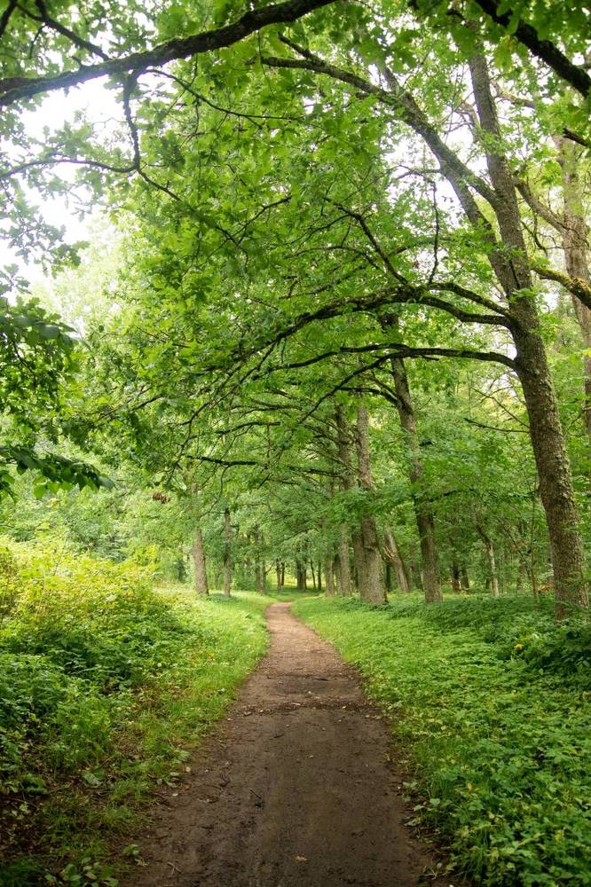 Photograph by Анна Васильева