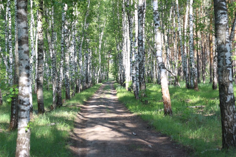 Photograph by АЛЛА ТАРАСЕНКО