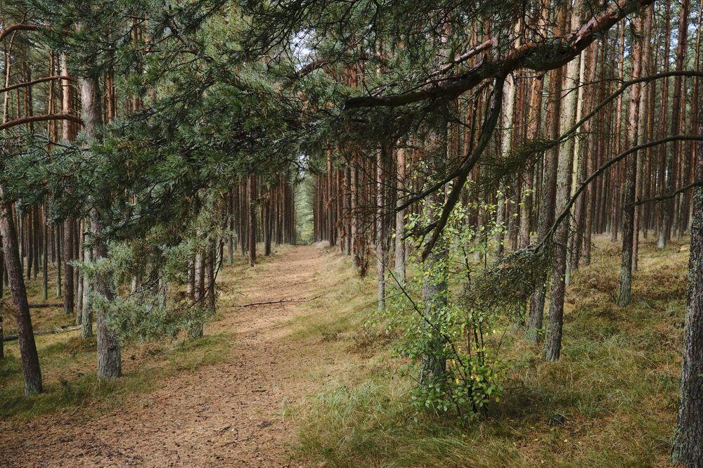 Фотография автора Александр Асланов