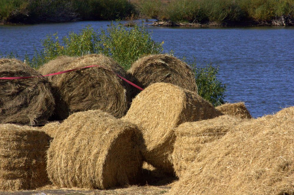 Photograph by Ольга Павлова