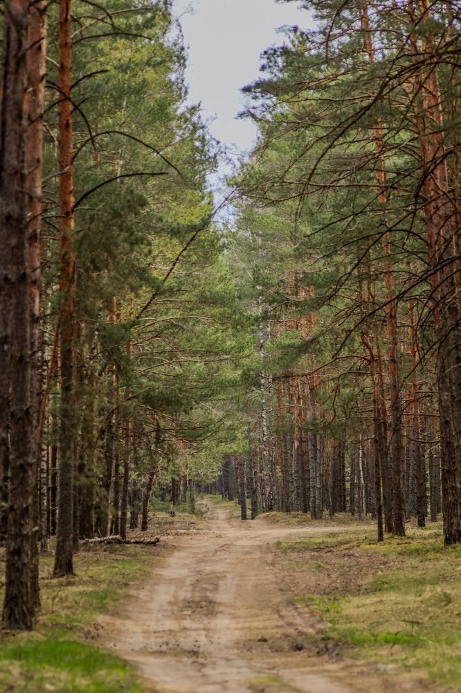 Photograph by Елена Квасова