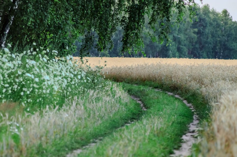 Photograph by Елена Квасова