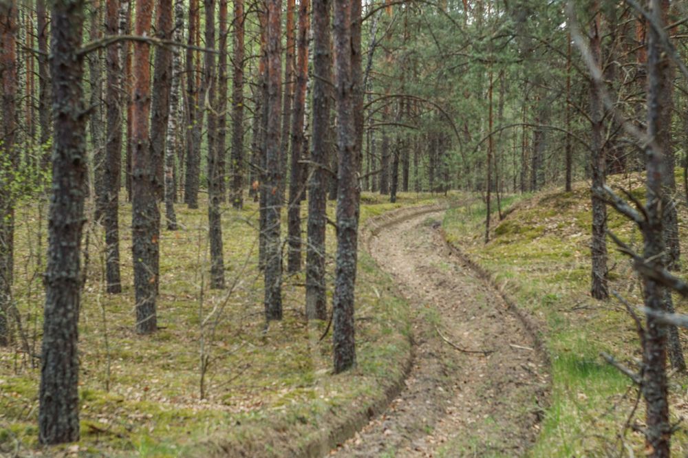 Photograph by Елена Квасова