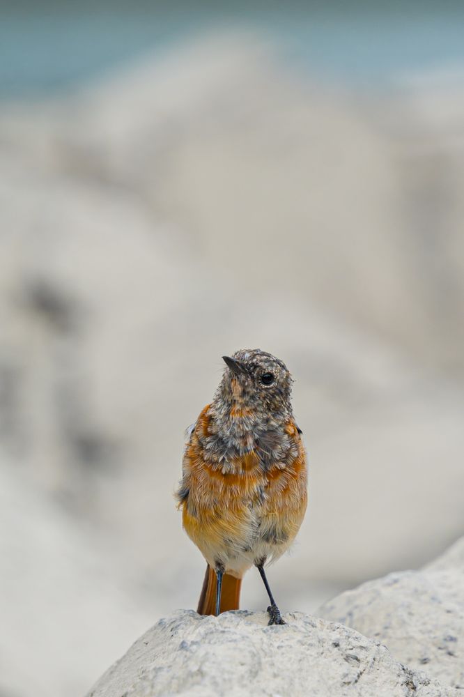 Photograph by Лактионов Анатолий