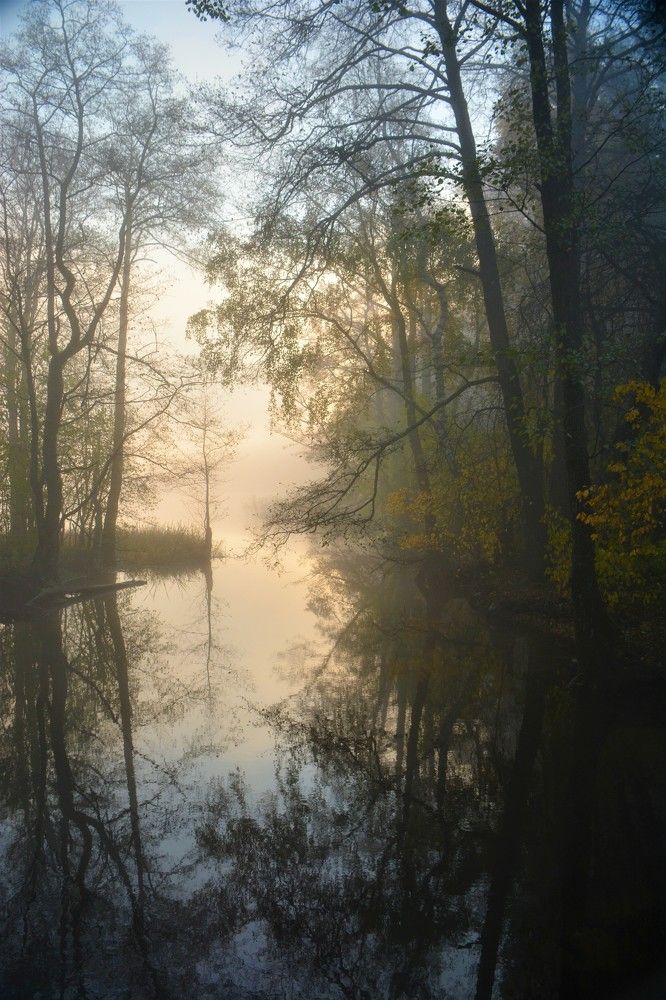 Фотография автора Linards Onzuls